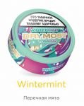 Табак жевательный "DryMost" Wintermint 12гр.